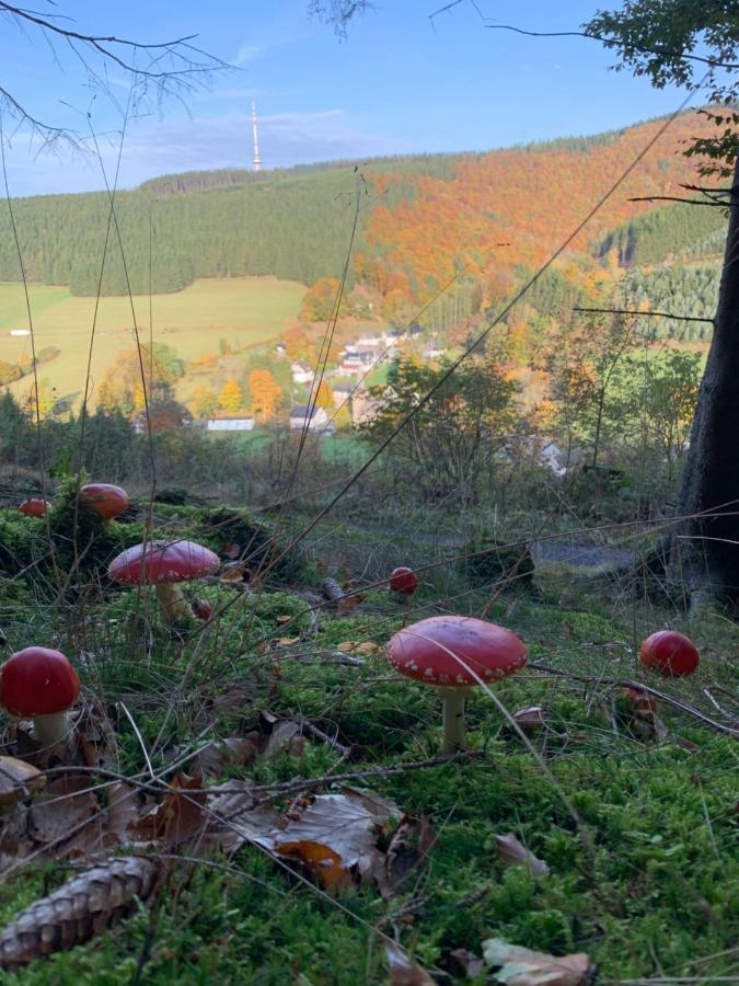 Ferienwohnung Duennebacke Schmallenberg Eksteriør billede