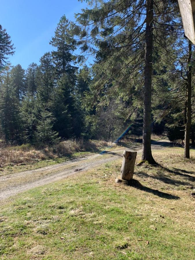 Ferienwohnung Duennebacke Schmallenberg Eksteriør billede